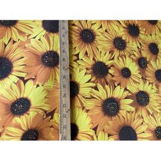 two pictures of sunflowers in yellow and brown with black centers, one has a ruler