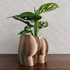 there is a plant in the shape of a vase on top of a wooden table