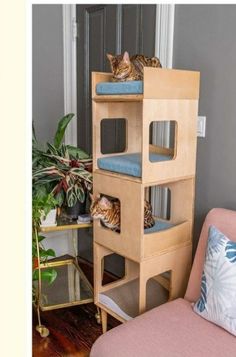 two cats sitting on top of a wooden cat tower next to a pink chair and potted plant