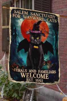 a black cat wearing a witches hat is hanging from a clothes line with the words salem sanctuary for wayward cats