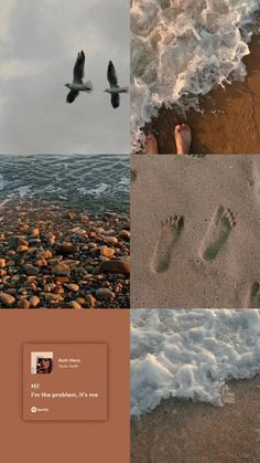 there are two pictures with footprints in the sand and seagulls flying over them