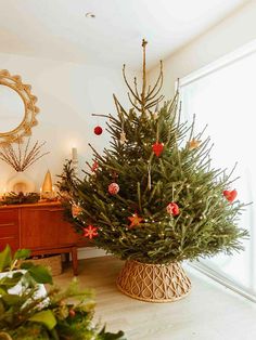 a small christmas tree in a pot on the floor next to a dresser and mirror