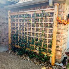 a wooden trellis on the side of a brick building with plants growing in it