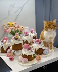 an orange and white cat sitting on top of a table next to cakes covered in frosting