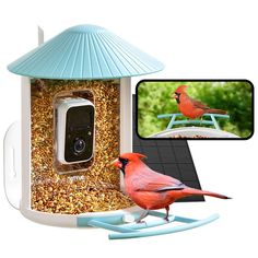 a red bird sitting on top of a bird feeder next to a cell phone camera