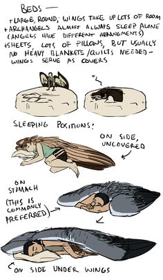 an image of different types of birds and their names