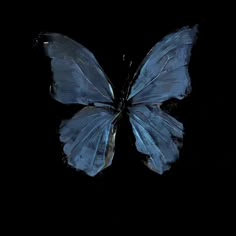 a blue butterfly flying in the dark