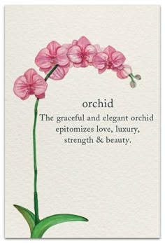 a card with pink flowers on it and the words orchid, the graceful and elegant orchid