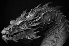 a black and white photo of a dragon head