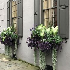 three window boxes with plants in them on the side of a building