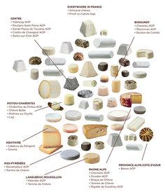 an image of different types of cheese