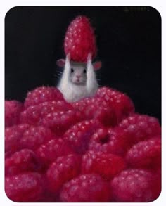 a mouse in a pile of raspberries with the caption, i am not sure what this is