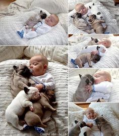 a collage of photos showing a baby and puppies cuddling on a bed