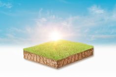 a piece of grass with the sun shining over it