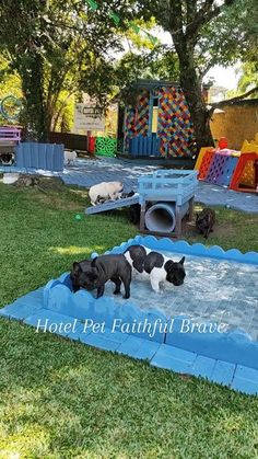 several dogs are playing in an outdoor play area that has been set up for children to play