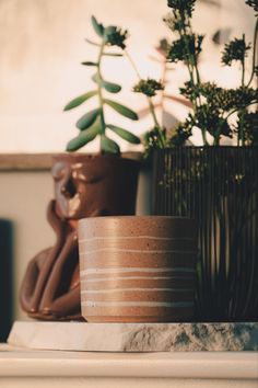 two planters sitting on top of a white mantle next to a potted plant