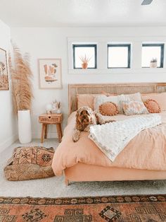 a dog laying on top of a bed in a bedroom next to pillows and rugs