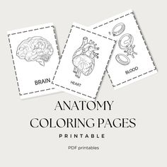 the anatomy coloring pages are shown in black and white, with text that reads anatomy coloring pages printable