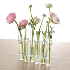 six clear vases with pink flowers in them