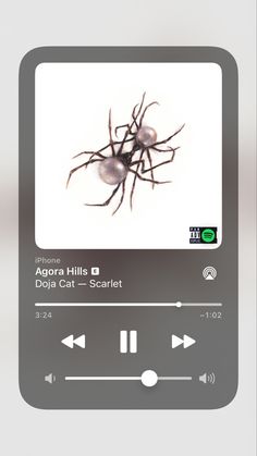 an mp3 player with some sort of insect on it's screen and the caption reads, agora hills digital cat scarlet