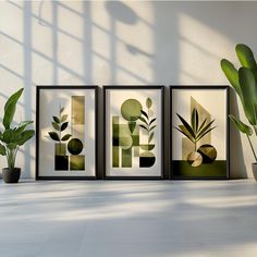 three framed art prints on a wall next to a potted plant and a window