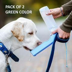 a white dog drinking out of a blue water bottle while being held by its owner