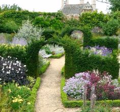 a garden with lots of different types of flowers and plants on it's sides