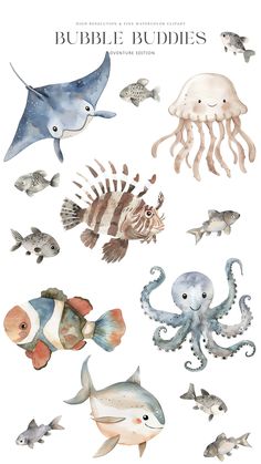 watercolor illustrations of different types of animals and fish on white paper with text that reads bubble bubbles