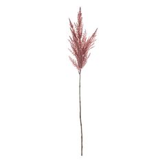 a tall pink plant is shown against a white background