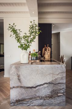 a marble counter top with vases and plants on it