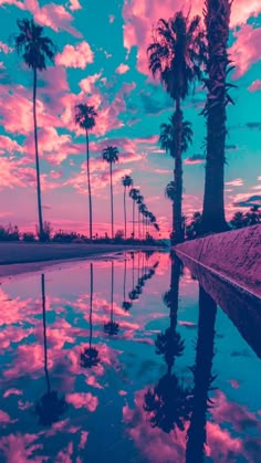 palm trees are reflected in the water at sunset