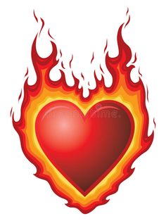 a heart in flames on a white background stock photo image 517981