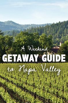 a vineyard in napa valley with the words, a weekend getaway guide to napa valley