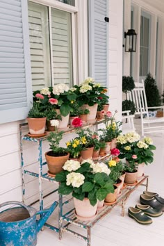 several potted flowers are on a porch