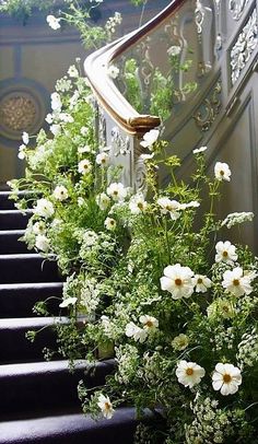 some white flowers are sitting on the steps