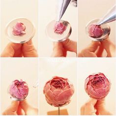 the process of making a pink flower in a glass bowl is shown with pictures showing how to make it