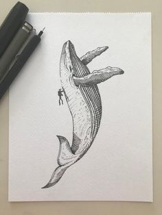 a drawing of a shark jumping out of the water with a man on it's back