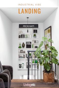 a living room filled with furniture and lots of shelves on the wall next to a potted plant