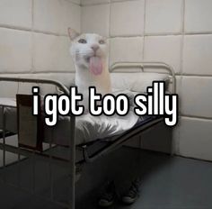 a white cat sticking its tongue out on top of a metal bed with the words i got too silly