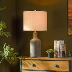 a table lamp sitting on top of a wooden dresser next to a potted plant