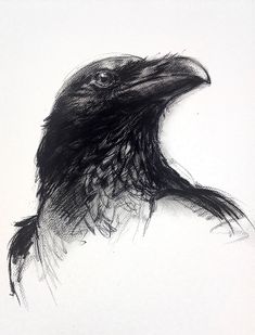 a black and white drawing of a bird's head