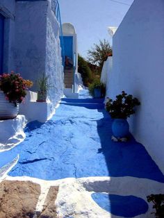 an alley way with blue and white painted walls, potted plants on either side