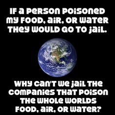 an image of the earth with a caption that reads, if a person poisoned my food, air, or water they would go to jail