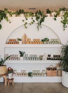 the shelves are filled with plants and jars