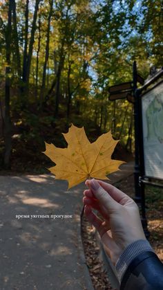 a person holding up a yellow leaf in front of a sign with trees and leaves on it