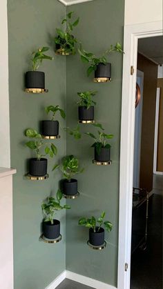 there are many potted plants in the corner of this room, hanging on the wall