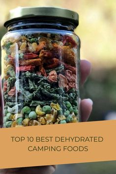 [object Object] Dry Camping Food Ideas, Dehydrated Meals For Hiking, Vegan Dehydrated Backpacking Meals, Dehydrated Recipes Meals, Dehydrated Food Ideas, Backpacking Dehydrated Recipes, Dehydrator Meal Recipes, Dehydrated Camping Meals, Dehydrator Recipes Backpacking