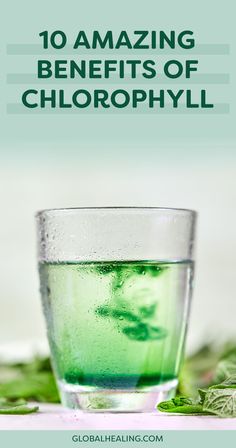 Benefits Of Chlorophyll, Boost Metabolism Drink, Blue Green Algae, Water Benefits, Healing Waters