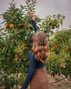 a woman reaching up to pick an apple from the tree with her hands and arms