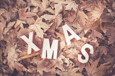 the word xmas spelled with wooden letters surrounded by leaves